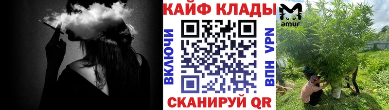 Продажа наркотиков Дальнегорск Alpha PVP  МЕФ  АМФ  Вейп ТГК  Гашиш  Псилоцибиновые грибы 