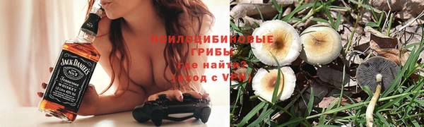 скорость Богородск