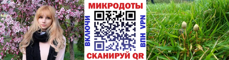 купить наркотик  Дальнегорск  Галлюциногенные грибы мухоморы 